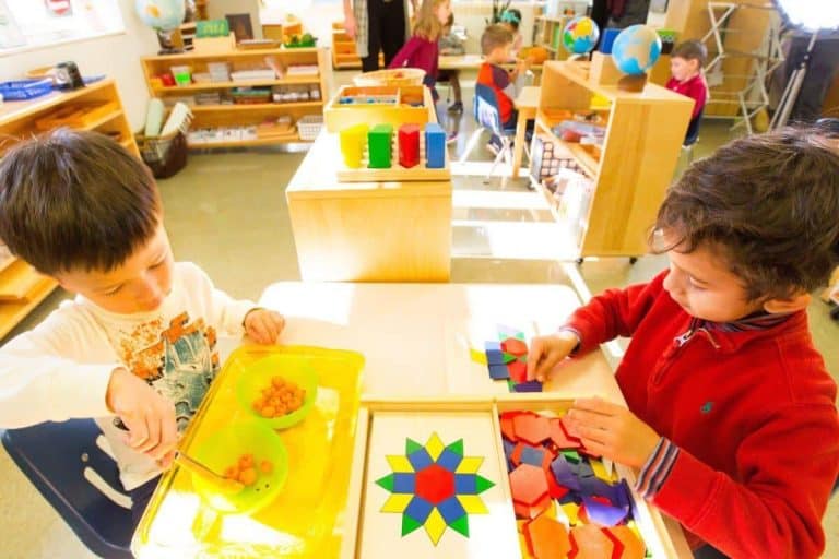 Montessori School Of Sugar Land